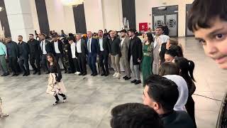 Koma Roj Ful Bullur Viranşhir Berde Bra Were