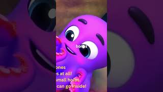 Facts about Octupus Part 2