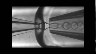Fabrication of a simple waterinoilinwater double emulsion