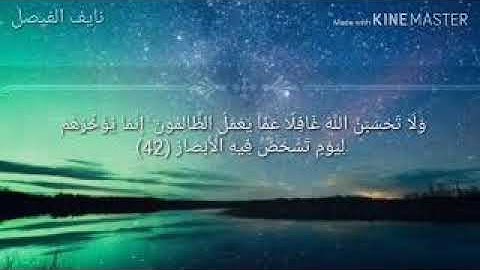 سورة ابراهيم - الآية [42 - 52]  🍁❤️ نايف الفيصل