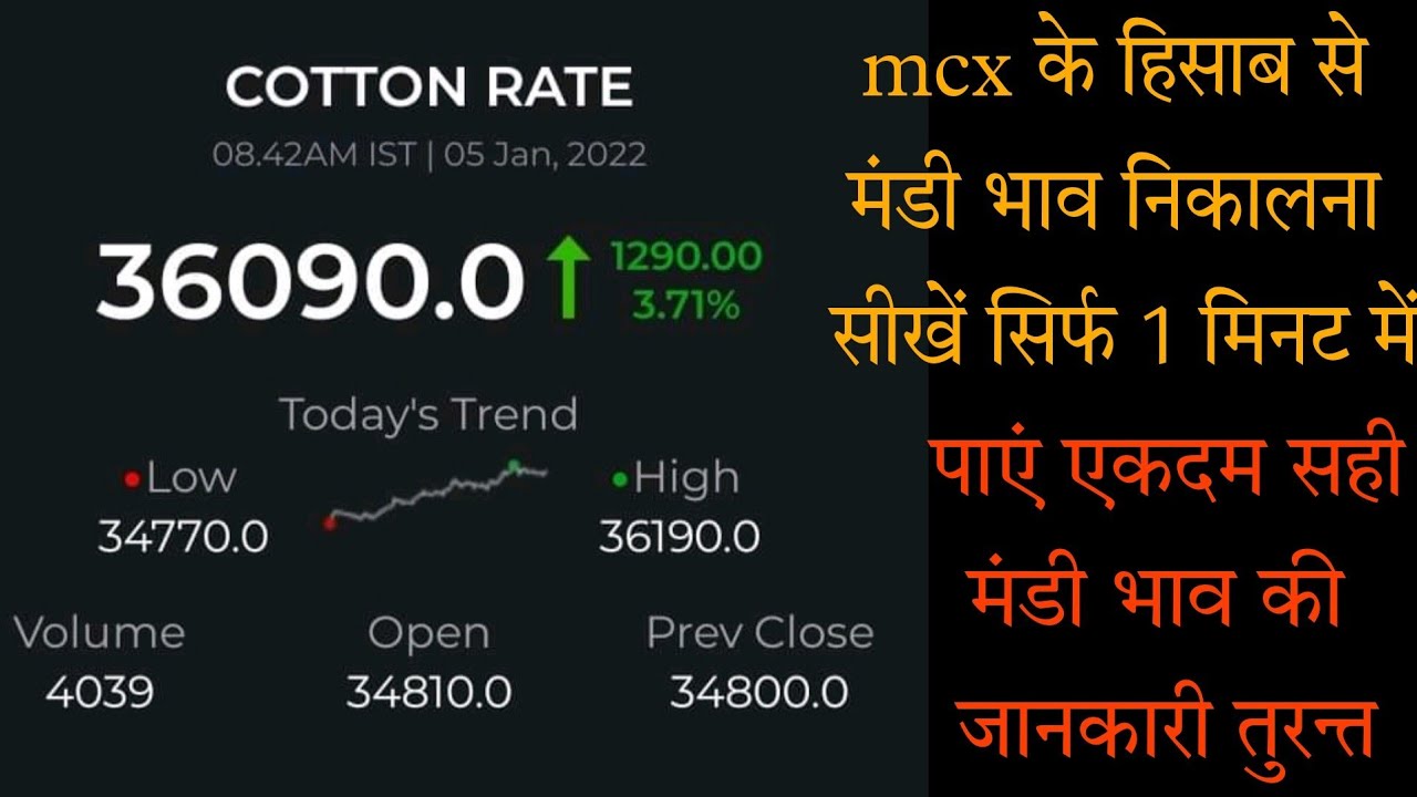 mcx Cotton के हिसाब से नरमाकपास के वर्तमान मंडी भाव कैसे निकालें? सही