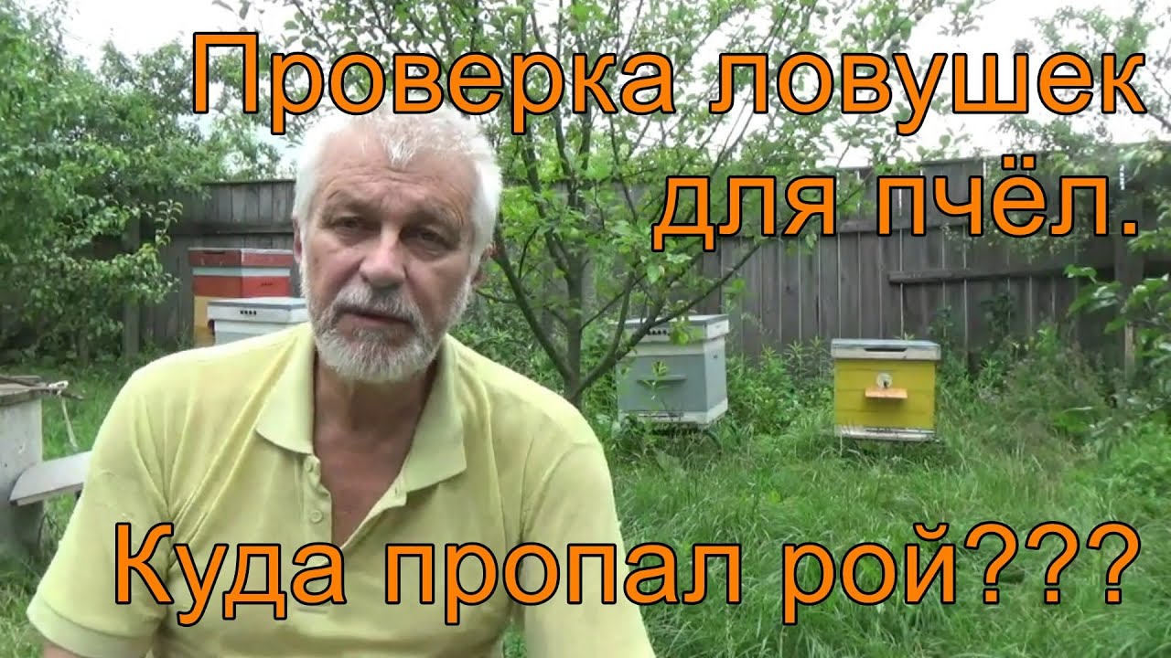 Куда пропал богдан