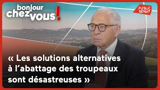 Play video: François Patriat : « Les solutions alternatives à l’abattage des troupeaux sont désastreuses »