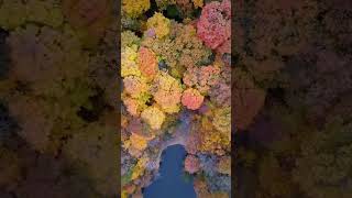 Fall Foliage Central Illinois, 2022