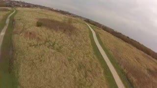 Vortex Inversion Practice