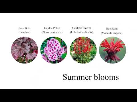How To: Plant Perennials