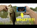 How to Turn Your Phone into a FISH FINDER for Bank Fishing!!!