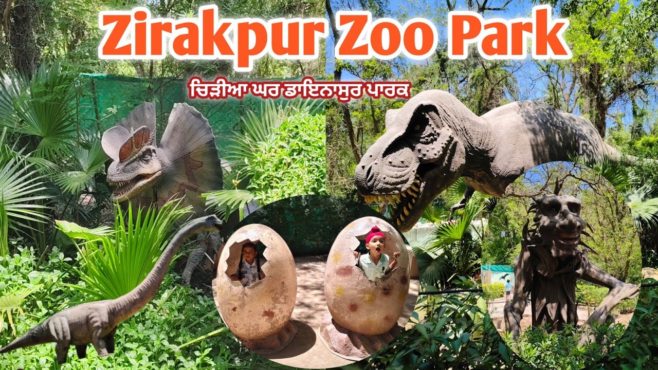 ⁣Chhatbir Zoo Park in Chandigarh🐯||ਛੱਤ ਬੀੜ ਚਿੜੀਆ ਘਰ ਡਾਇਨਾਸੋਰ ਪਾਰਕ||🦣chhatbir Zoo||