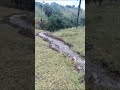 Chuva carrega café que estava secando em Minas Gerais
