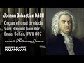 J.S.Bach - Organ Prelude in G-moll BWV 607 (играет Наталия Саенко)