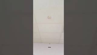 Simplex  2908-9201 smoke detector and est smoke detector and fire alarm and magazine