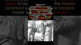 When Horses Were Made To Wear Gas Masks During Wwii