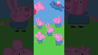 Peppa Pig Find The Real Character With Peppa And Friends