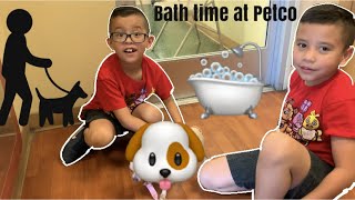 Chihuahua gets a Bath at Petco
