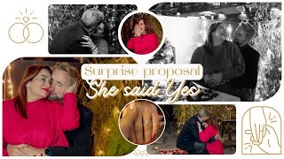 The Secret Proposal | Raveena Mamu said YES | Valentines 2023 Proposal Vlog