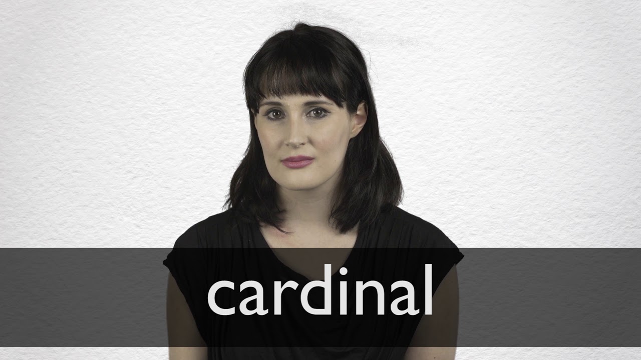 Cardinal Definition And Meaning Collins English Dictionary