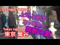 【4k】Osanpo Tokyo Uguisudani お散歩鶯谷 2024.11.19
