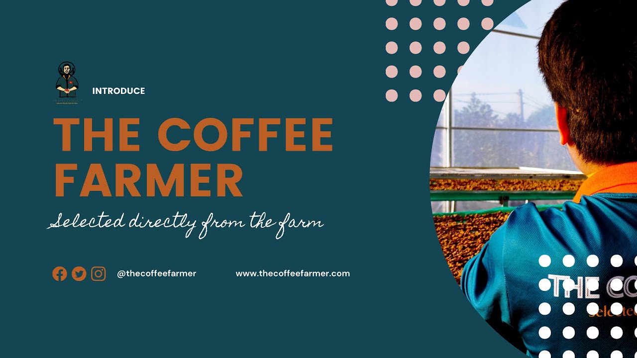 THE COFFEE FARMER - SELECTED DIRECTLY FROM THE FARM (INTRODUCE)