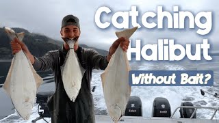Catching Halibut with NO BAIT?! Shelikof Strait Went Wild