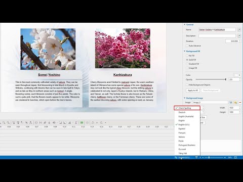 How to Use Spell Checking Function - ActivePresenter 8