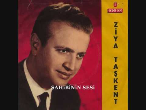 Ziya Taşkent - Değdi saçlarıma bahâr gülleri