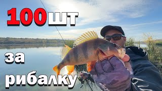 видео: 100 окунів за риболовлю ЦЕ РЕАЛЬНО !! рибалка на ультралайт картинка: 100 окунів за риболовлю ЦЕ РЕАЛЬНО !! рибалка на ультралайт