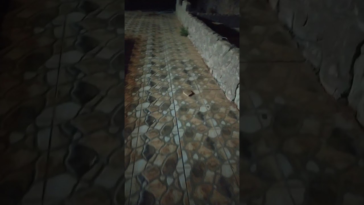 ملكيت الدب ابوي جب النعله الله يحيكم و يسلم عليكم أنا خايف عليكم YouTube