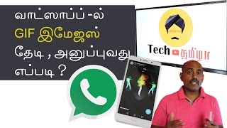 How to Search GIF and Send GIF in WhatsApp | Tamil | Tech Tamizha screenshot 3