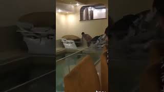 Diving In The Pool Goes Wrong