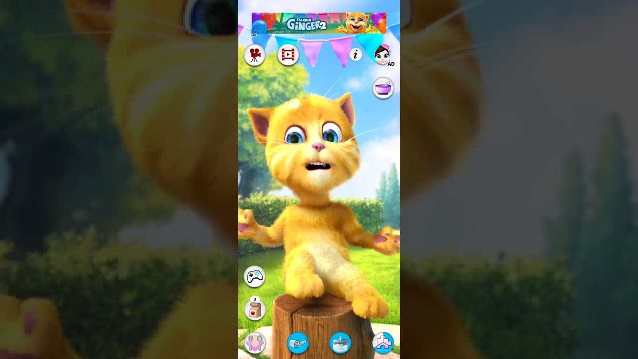 Talking Ginger 13🦜🐸🐸🦜🐸🕊🐸🦜🐸🦜🐸🦜🐉🦜🐉🦖🐉🐧🐊🐧🌹🐧🌹🦋🌹🦋🌹🦋🌹🦋🐊🐧🐊🐧🕊🐧