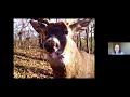 Snapshot Wisconsin - Facebook Live 5-12-20