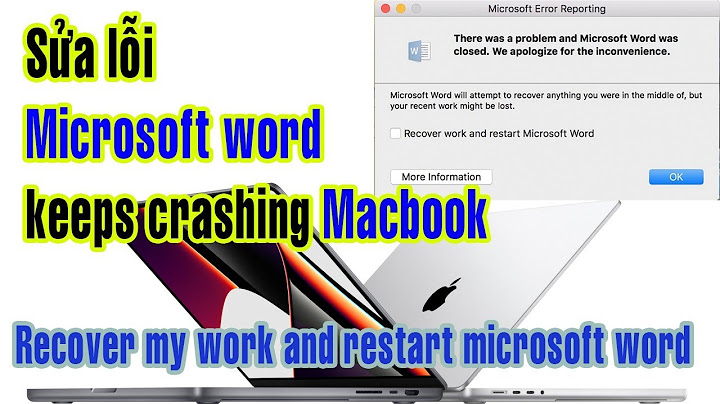 Tại sao mở word bị báo lỗi microsort reporting
