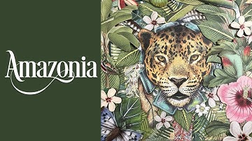 Stamperia Amazonia Album Tutorial for Scrap n Create - Part 1