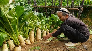 阿婆花1個月時間，給曾孫做麻辣蘿蔔幹，來自家鄉的愛Grandma spent 1 month making spicy dried radish food for her great-grandson