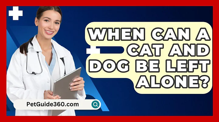 When Can A Cat And Dog Be Left Alone? - PetGuide360.com