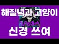 신경 쓰여(気になっちゃう) / 해질녘과 고양이(夕方と猫) [가사/발음]