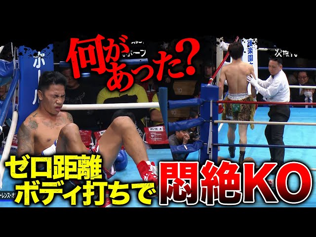 ボクシング Sei ボクシング Sei TECH-1 ZX V4 GLOVE｜Japan official｜alpinestars