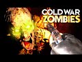 BLACK OPS COLD WAR VIETNAM ZOMBIES EASTER EGG!