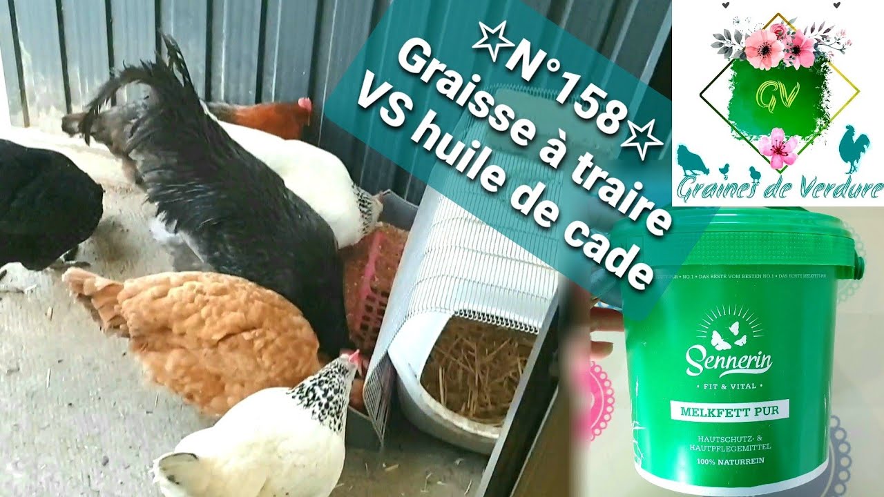 ☆N°158☆ Graisse à traire/gale pattes [Adieu Phœbe; Cherry apaisé; Poule