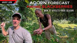 Acorn Forecast - How it will Affect Your Season Bowhunting Whitetails w Bill Winke