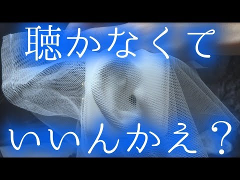 ASMR | 水切りネットを耳にかぶせてジョリジョリする | SR3D