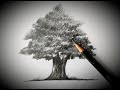 How to draw a Banyan tree step by step for beginners | How to draw a Banyan tree easy | Art281