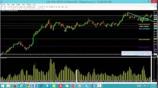 Tribe Forex Daily Market Analysis 07302015