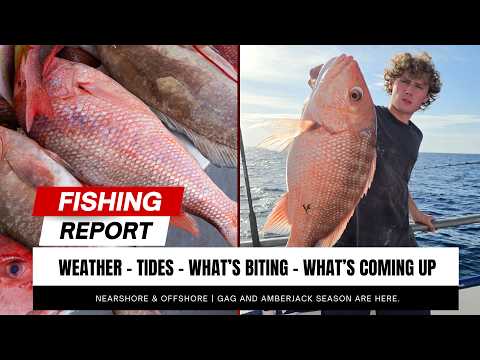 Inshore, Nearshore & Offshore Weekly Report - Tides, Full Moon, What's Biting Now & More.
