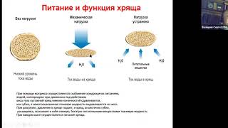 Дегениративно дистрофические заболевания суставов и позвоночника 1