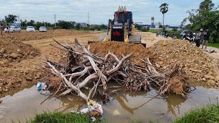 Incredible New Project Start Land Filling Technique Skill Dozer Pushing & 5ton Dump Truck Dumped
