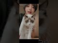 方言が可愛すぎる#池田エライザ