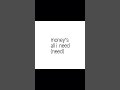 Moneys all i need #lyrics #shortsfeed