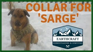 Behind the Build:  SPIKED Leather Collar for Sarge!