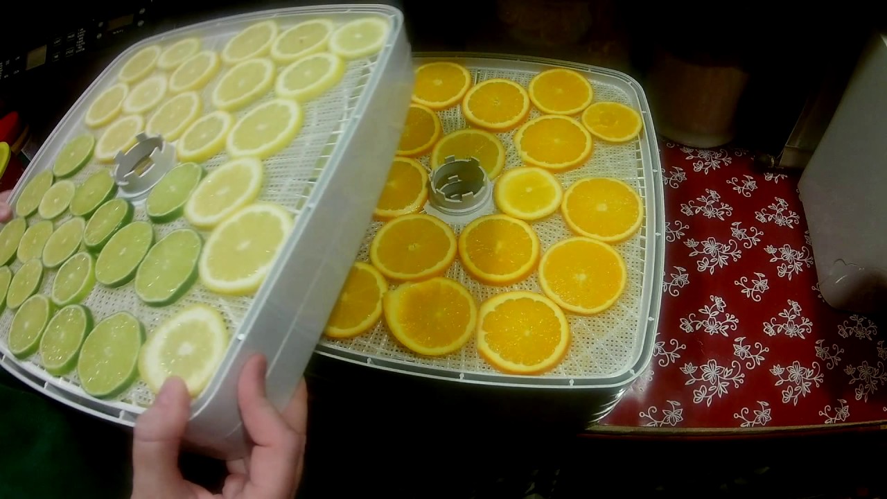 How To Dehydrate Citrus Lemons Limes Oranges YouTube How To Dehydrate Citrus Lemons Limes Oranges YouTube
